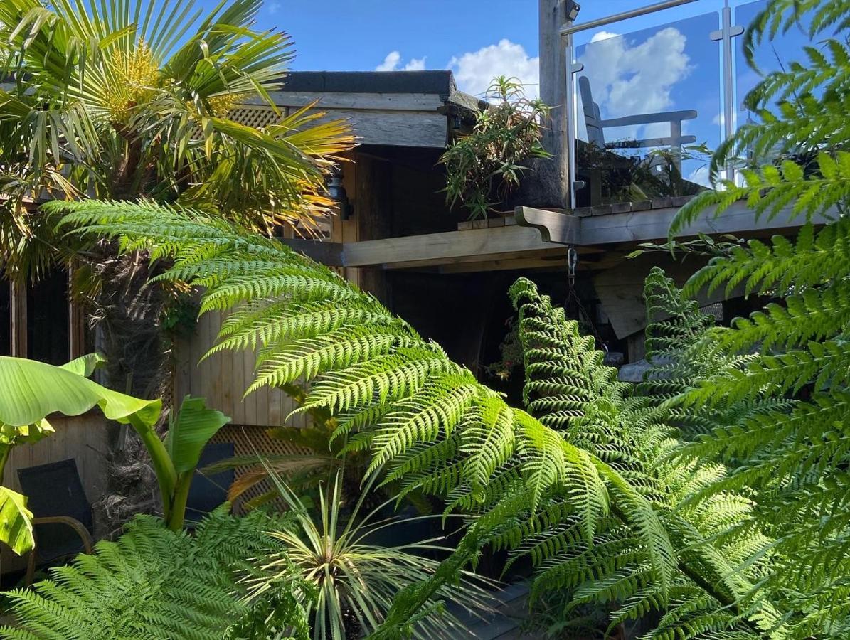 Jungle Cabin Martin Mill 외부 사진
