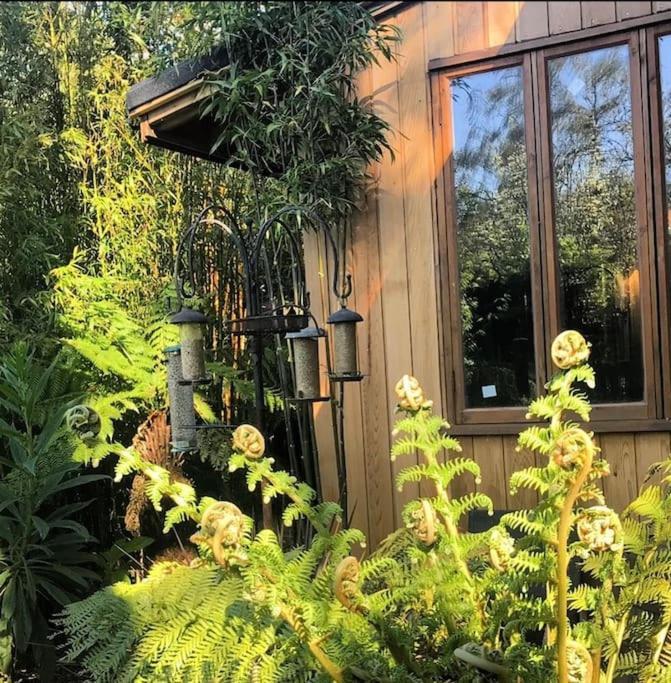 Jungle Cabin Martin Mill 외부 사진