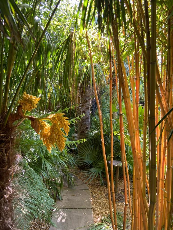 Jungle Cabin Martin Mill 외부 사진