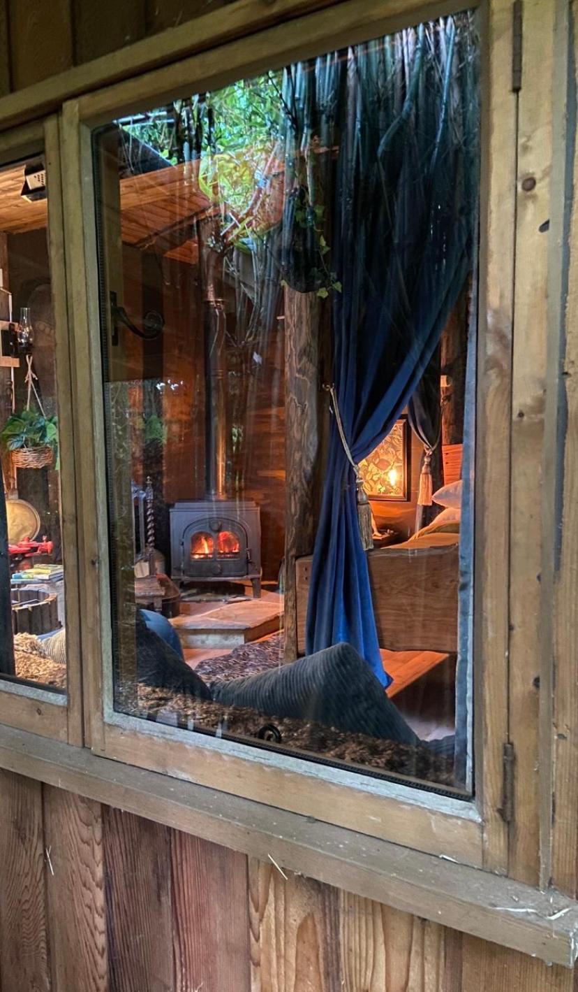 Jungle Cabin Martin Mill 외부 사진