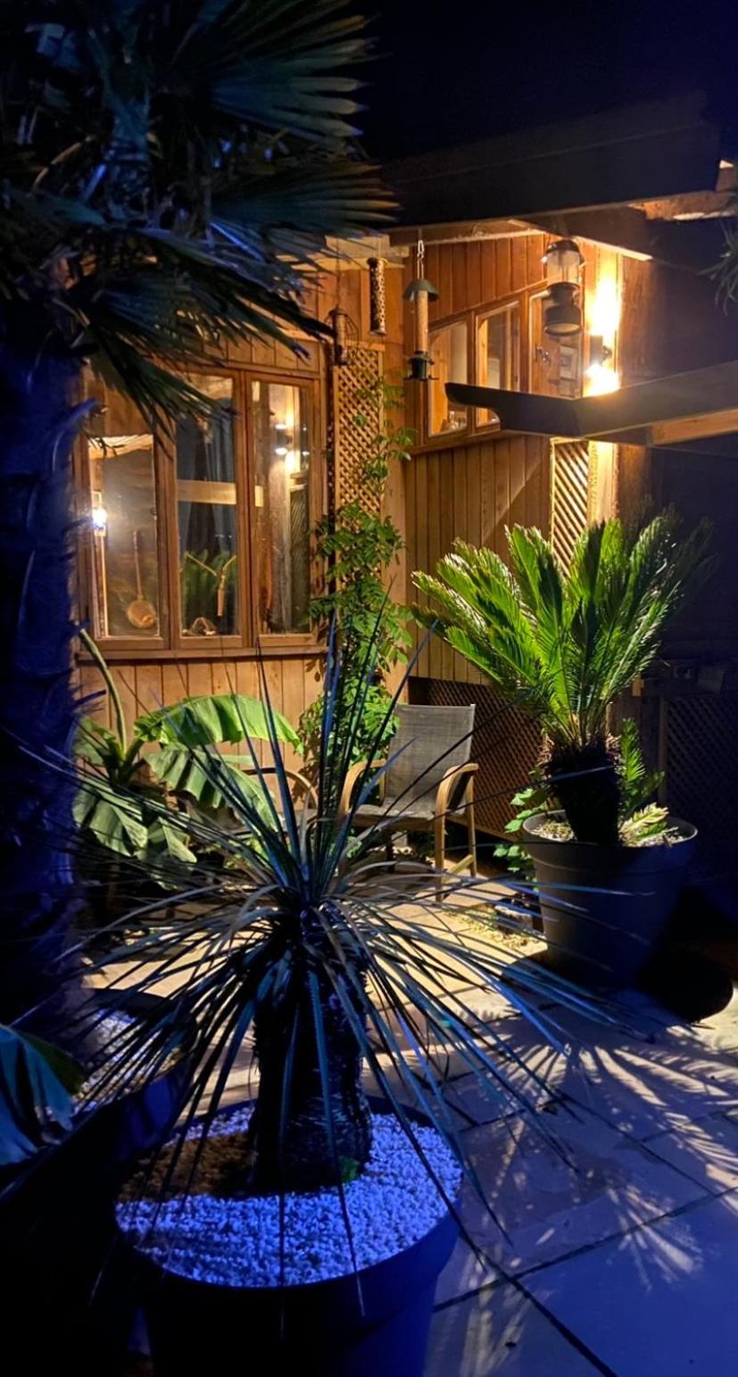 Jungle Cabin Martin Mill 외부 사진