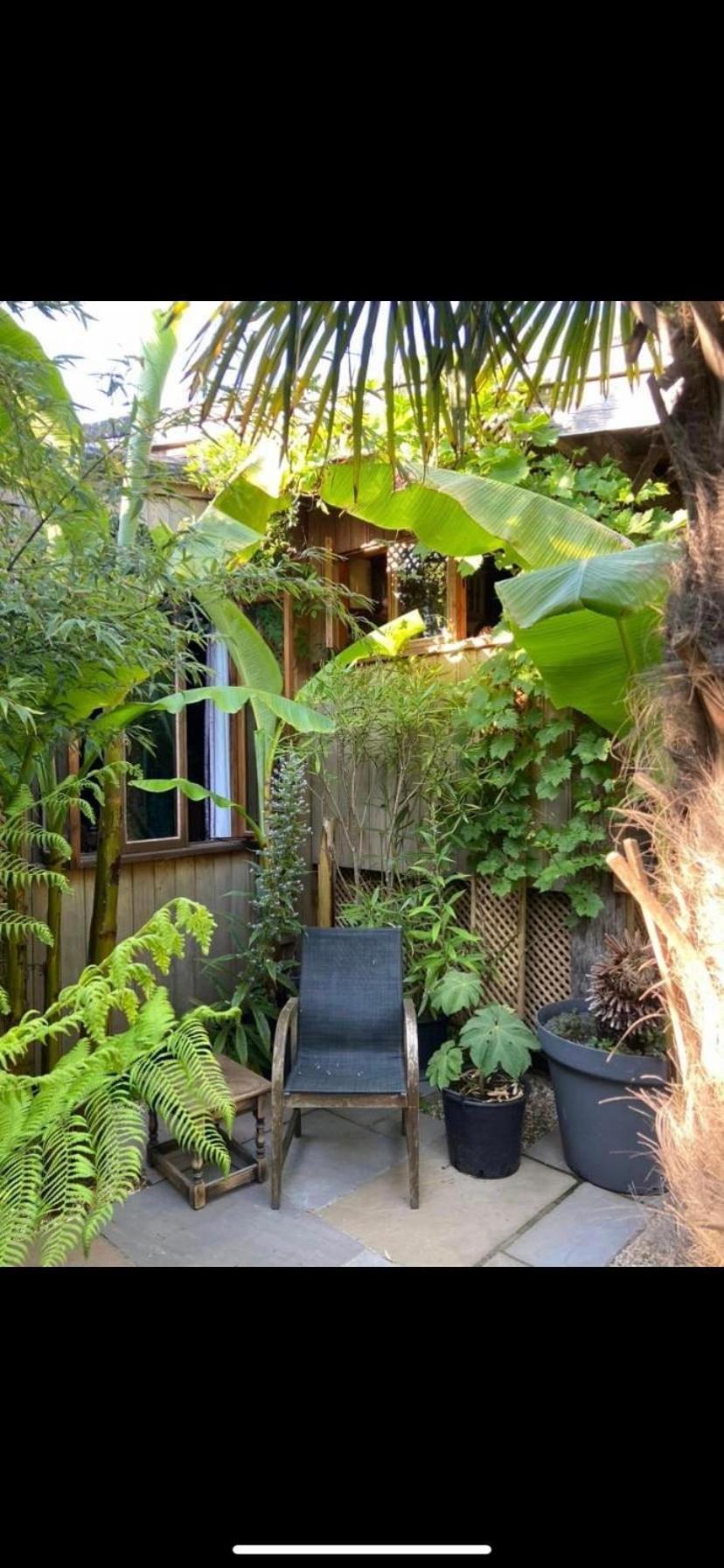 Jungle Cabin Martin Mill 외부 사진