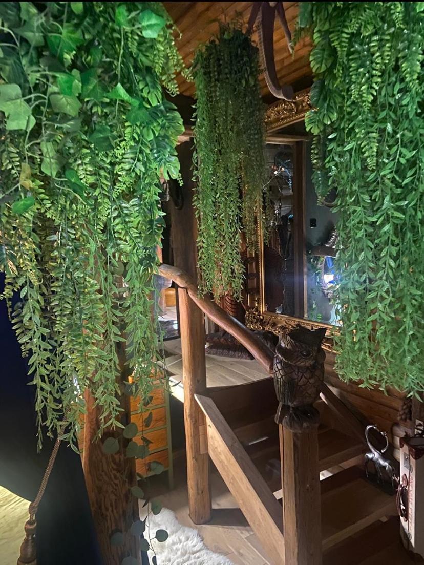 Jungle Cabin Martin Mill 외부 사진